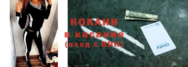 индика Покачи