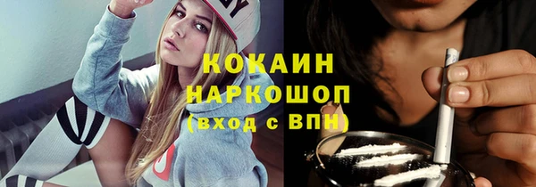 индика Покачи