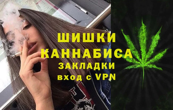 индика Покачи
