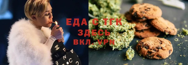 индика Покачи