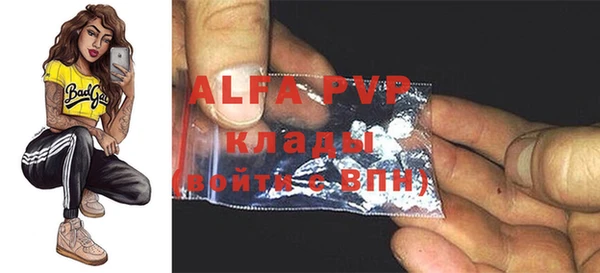 индика Покачи