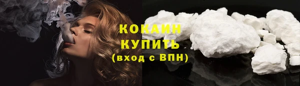 индика Покачи