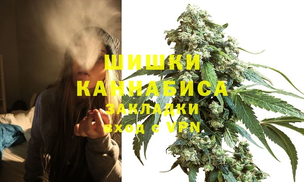 индика Покачи