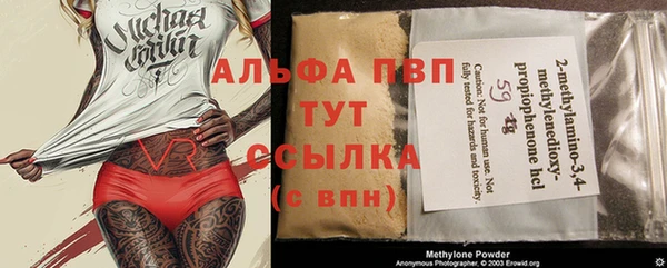 индика Покачи