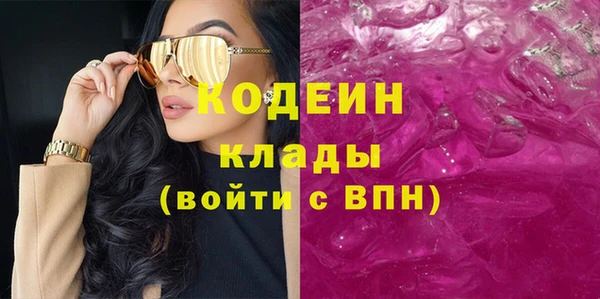 индика Покачи
