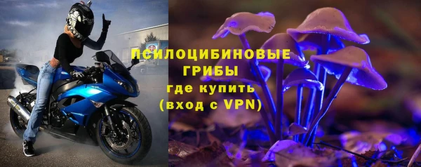 мяу мяу мука Пересвет