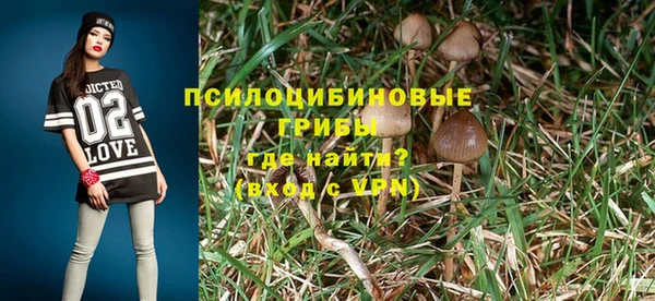 твердый Покровск