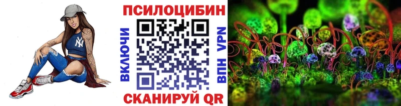 Псилоцибиновые грибы Cubensis  Рославль 