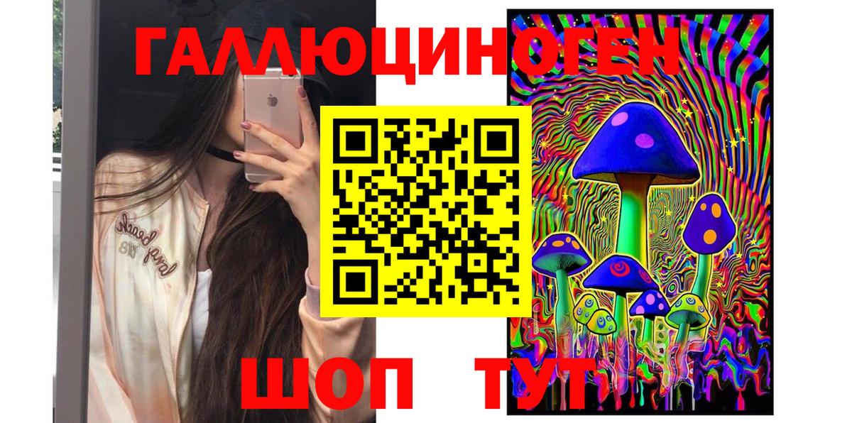 Псилоцибиновые грибы Psilocybe Рославль