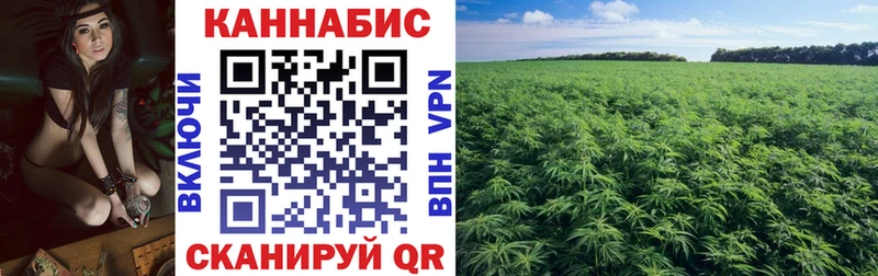 Шишки марихуана OG Kush  Рославль 